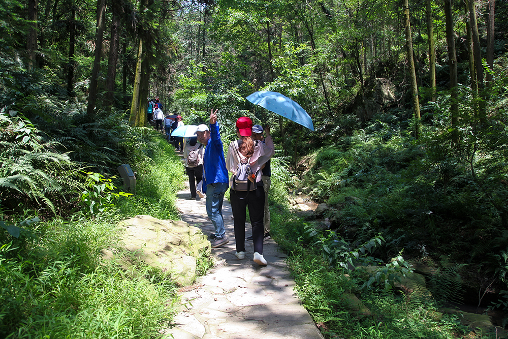 米兰app体育登录入口