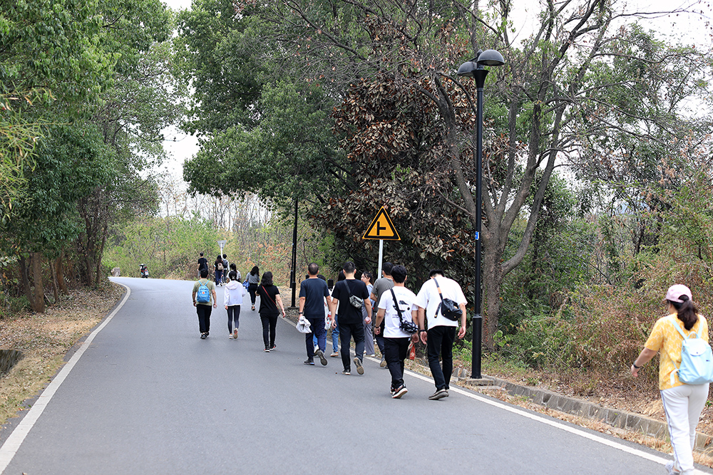 米兰app体育登录入口