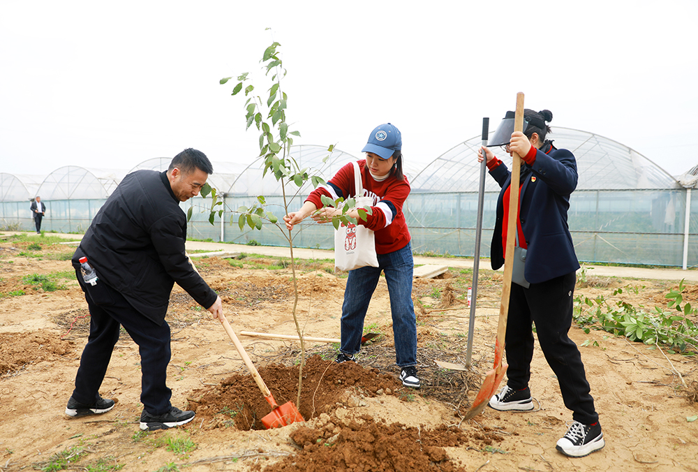 米兰app体育登录入口