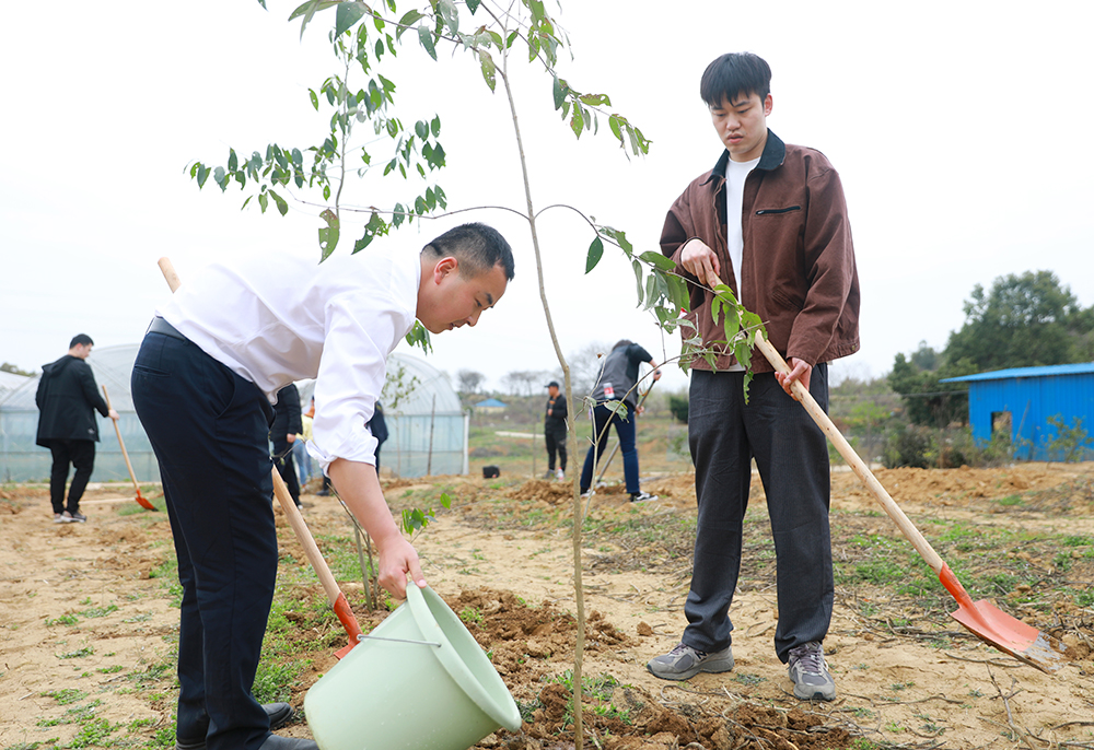 米兰app体育登录入口